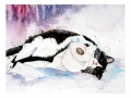 mnbadkitty3.jpg