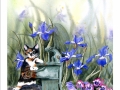 mncalicospring3.jpg