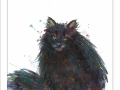 mnfluffynotfat3