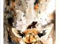 mnfunnyface3