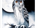 mnmoonstruck3