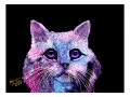 mnpurplepurrfection3