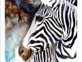 mnstripes3