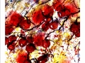 mnwinterberries3.jpg