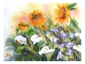 Summers Bounty