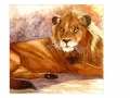 Serengeti Serenity